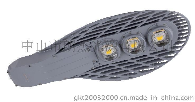 LJ-L1002 经济型120W LED路灯